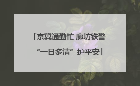 京冀通勤忙 廊坊铁警“一日多清”护平安